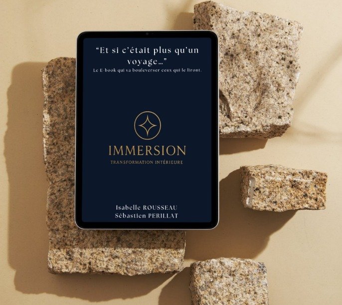 ebook Immersion